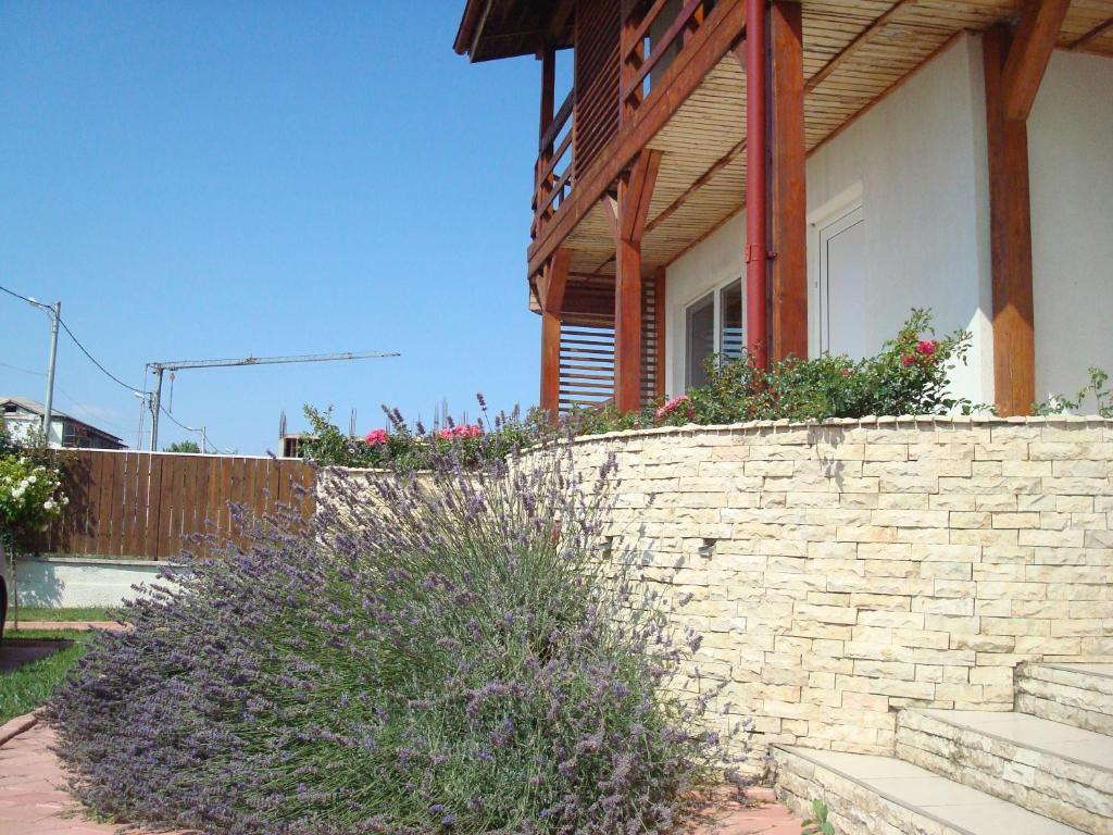 Pension Oasis Costinești Dış mekan fotoğraf